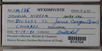 Image Associated With the Occurence